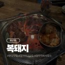 성남대로407번길 | 분당 정자동 한돈 돼지고기 맛집 복돼지 후기