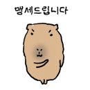 보미샵
