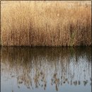 그림자호수 이미지