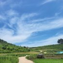 읍리 하마비 | 제4화 : 청산도(완도군 청산도, 여서도)