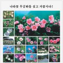 "무궁화" 사진 전시회 개최 계획( 지역별 개최 일정표) 이미지
