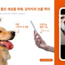 펫나우 이미지