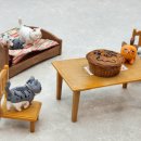 냥클래스 이미지