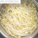 나물반찬 콩나물무침 레시피 아삭하고 맛있게 무치는 방법 이미지