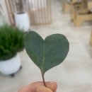 삼정로L 네이버블로그