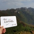 용인대단재태권도 이미지