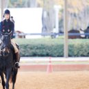 Royal Saddle Equestrian Society 이미지