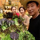 로컬푸드건너편 이미지