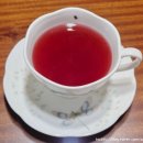 레드플라워(RED FLOWER) 이미지