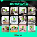 애니원보이
