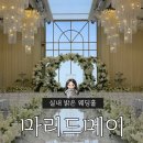 대구 - 수성구 결혼식장 [마리드메이] 밝은 실내 단독홀 하객후기