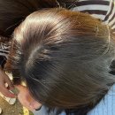 동탄3동행정복지센터 진달래실 | 동탄 어나드헤어 밀크 브라운 웨딩염색 후기