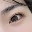 4865 | 대전 봉명동 속눈썹펌 눈매가 또렷해진 봉명동 미플렉스 속눈썹펌 후기