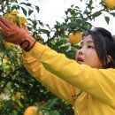 대통령기록관건너편 이미지