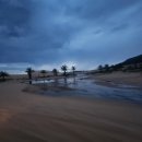 신성목장 | 나트랑 산티아고 판랑 사막투어 현지 업체 투어 일정 및 시간 내돈내산 후기