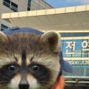 진DoL 이미지