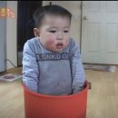 응도