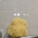 ㈜화인 | [Beauty] 메이크업 세안부터 홈케어까지, 라그랑 세안해면 &amp; 선밀크 조합