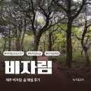 비자림빌리지1 | 제주 비자림 비오는날 가볼만한곳 추천-소요시간 입장료 주차 무료해설 코스 후기