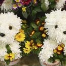 꽃강아지 이미지