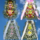 송탄중앙병원 이미지