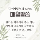 ⛪️ 대림 제2주간 이미지