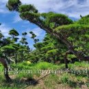 병환농장 이미지