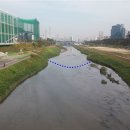 징검다리 이미지