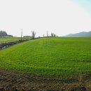 성원목장3 이미지