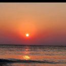 농협충훈지점 앞 이미지