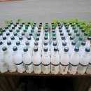 인생전집 이미지