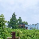 제주도작은집 작은별 이미지