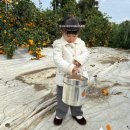 일동목장 | 제주 아기랑 체험 : 인생샷 감귤체험 텐저린267 &amp; 비 오는 날 9.81파크 (ft. 27개월의 현실)