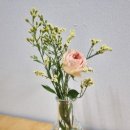 화랑농장 네이버블로그
