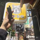 복숭아s | 전담 생태계 교란종이 나왔습니다.. ♥말론s 킷♥ 후기