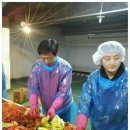 서구노인복지관(11) 이미지