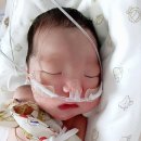 쉬즈메디산후조리원 이미지