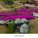 화랑마을-4 이미지