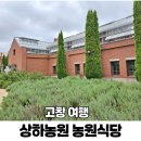 고창 상하농원 맛집 농원식당 저녁 메뉴 가격 아이랑 파머스빌리지
