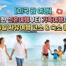 돌고래 보조풀장 | [미국 괌 여행] 완벽한 신혼여행부터 가족여행까지! 3박 4일 자유여행 코스 & 숙소 총정리
