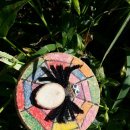 아이써밋어린이집 이미지