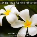 플루메리아