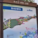 강진-22 | 2025년 강진수국길축제 정보 미리 다녀온 솔직 후기