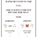 노이스트브레드 이미지