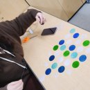 물고기 자개 드림캐쳐 이미지