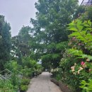 정원카페 이미지