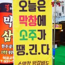 불막열삼 이미지