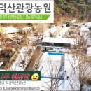 광덕산관광농원 호두나무캠핑장