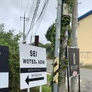 세이펜션 | [경주 숙소] 경주 감성 독채 풀빌라 숙소 | 세이워터코히 내돈내산 후기