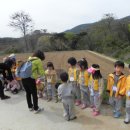 청하초 병설유치원 이미지